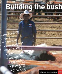 Building the bush  Cover image. Justin Dickerson during cattle handling training this year. The Central Land Council is one of the largest organisations in Alice Springs but many people know little about our role.