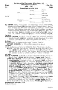 Barn 25 Consigned by Warrendale Sales, Agent for Blazing Colours Farm