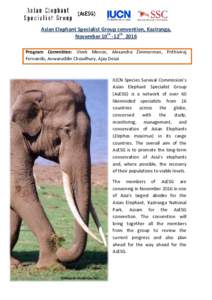Elephants / Fauna of Asia / Northeast India / EDGE species / Biology / Anwaruddin Choudhury / Asian elephant / Kaziranga National Park
