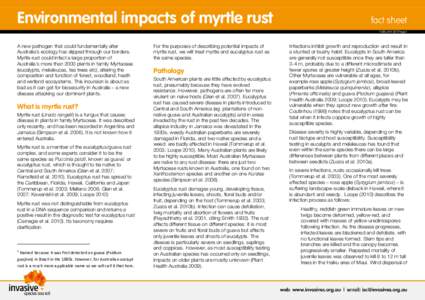 Microsoft Word - Myrtle rust backgrounder March 2011