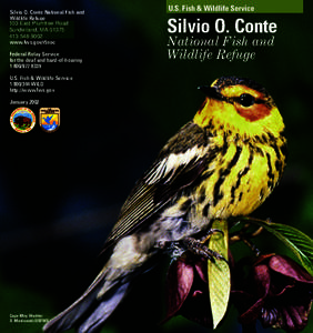 Silvio O. Conte National Fish and Wildlife Refuge 103 East Plumtree Road 52 Avenue