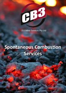 Combustion / Spontaneous combustion / Sub-bituminous coal / Experiment / Energy / Science / Coal / Economic geology / Chemistry