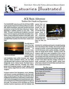 North Inlet-Winyah Bay National Estuarine Research Reserve / National Estuarine Research Reserve / Myrtle Beach metropolitan area / ACE Basin / Tidal marsh / Hobcaw Barony / Winyah Bay / Winyaw / Clapper Rail / South Carolina / Geography of the United States / Protected areas of the United States