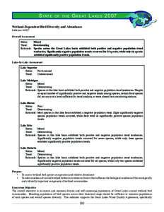 State of the Great Lakes Ecosystem 2007