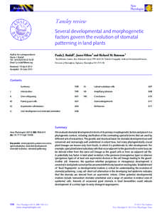 Review  Tansley review Several developmental and morphogenetic factors govern the evolution of stomatal patterning in land plants