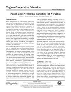 publication[removed]Peach and Nectarine Varieties for Virginia Richard P. Marini, Extension Specialist, Horticulture; Virginia Tech  Introduction