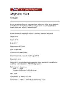 Magnolia, 1904 WAGL-231 Any of various deciduous or evergreen trees and shrubs of the genus Magnolia of the Western Hemisphere and Asia, many of which are cultivated for their showy white, pink, purple, or yellow flowers