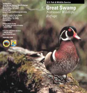 Headquarters: Great Swamp National Wildlife Refuge 241 Pleasant Plains Road Basking Ridge, NJ[removed]1222 www.fws.gov/northeast/greatswamp