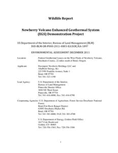 Wildlife Report For the Newberry Volcano Enhanced Geothermal System (EGS) Demonstration Project US Department of the Interior, Bureau of Land Management (BLM) DOI-BLM-OR-P000[removed]EA DOE/EA-1897