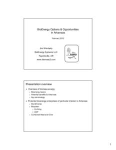 BioEnergy Options & Opportunities in Arkansas February 2012 Jim Wimberly BioEnergy Systems LLC