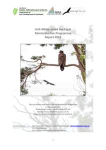 Irish White-tailed Sea Eagle Reintroduction Programme Report 2014 The Irish White-tailed Sea Eagle Reintroduction Programme is managed by the