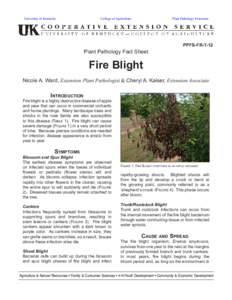 Enterobacteria / Fire blight / Blight / Pruning / Tree diseases / Diaporthales / Fungicide use in the United States / Sphaeropsis blight / Biology / Microbiology / Pathology