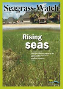 Issue 42 October[removed]Seagrass-Watch The official magazine of the Seagrass-Watch global assessment and monitoring program  Rising