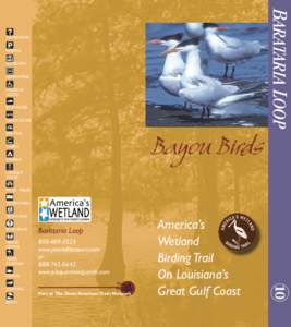 Brechtel Park / Greater New Orleans / Louisiana Highway 45 / Jean Lafitte / U.S. Route 90 in Louisiana / New Orleans / Louisiana Highway 428 / Hooded Warbler / Barataria Bay / Louisiana / Geography of the United States / Southern United States