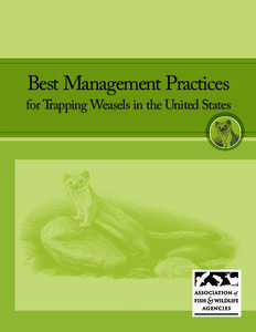 Best Management Practices for Trapping Weasels in the United States Best Management Practices (BMPs) are carefully researched educational guides designed to address animal welfare and increase trappers’ efficiency and