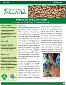 November[removed]Policy Brief Potentials and Constraints Cowpea for Food and Poverty Alleviation