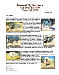 Ironwood Pig Sanctuary Post Office BoxTucson, AZFebruary 2016 Dear Supporter,