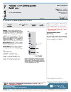 Store at -20ºC #[removed]Phospho-4E-BP1 (Thr70) (D7F6I)