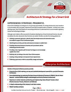 Architecture & Strategy for a Smart Grid EXPERIENCED. STRATEGIC. PRAGMATIC. Smart Grid’s challenges are analogous to a city growing exponentially. An existing infrastructure must transform to accommodate many new goals