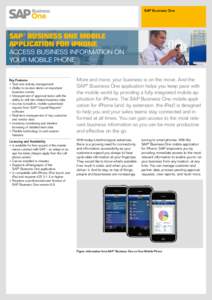 SAP Business One  SAP® Business One Mobile Application for iPhone  Access Business Information on