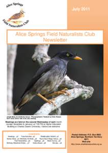 July[removed]Alice Springs Field Naturalists Club Newsletter  Jungle Myna Acridotheres fuscus - Photographed in Thailand by Chris Watson.