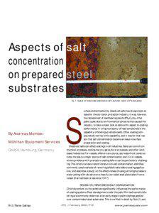 Aspects of salt concentration on prepared steel