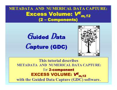 Microsoft PowerPoint - VIi. Vex {1+2} (Binary- Excess Volume) .ppt