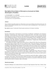 Zootaxa, Description of larval instars of Mystrophorus formicaeformis Ruthe...