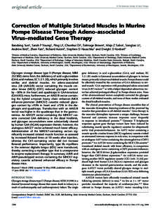 original article  © The American Society of Gene Therapy Correction of Multiple Striated Muscles in Murine Pompe Disease Through Adeno-associated