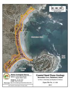 Sedimentology / Erg / Dunes / New York state parks / Sand dune stabilization / Coastal development hazards / Physical geography / Coastal geography / Coastal engineering