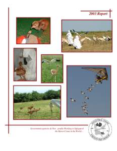 2003 Report  Government agencies & Non -profits Working to Safeguard the Rarest Crane in the World…  Whooping Crane Eastern Partnership