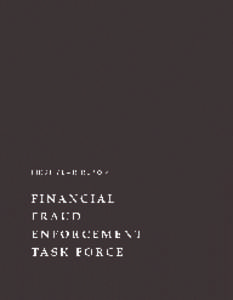 Financial Fraud Enforcement Task Force[removed]Report