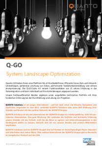 Q-GO System Landscape Optimization Quanto GO bieten Ihnen eine Plattform für all Ihre Bedürfnisse: Effiziente Carve-Outs und InboundUmstellungen, gefahrlose Löschung von Daten, performante Testdatenbereitstellung und 