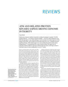 REVIEWS ATM AND RELATED PROTEIN KINASES: SAFEGUARDING GENOME