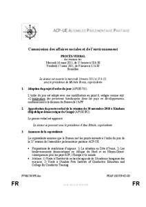 ACP-UE ASSEMBLEE PARLEMENTAIRE PARITAIRE  Commission des affaires sociales et de l’environnement PROCÈS-VERBAL des réunions des