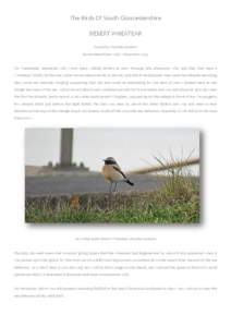 The Birds Of South Gloucestershire DESERT WHEATEAR Found by: Paul Bowerman Severn Beach Sea Wall – December[removed]On Wednesday December 11th I met some visiting birders at New Passage late afternoon who said they had 