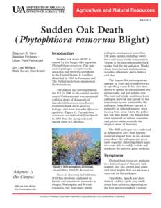 Sudden oak death / Phytophthora / Oak wilt / Plant pathology / Canker / Phytophthora cinnamomi / Rhododendron album / Tree diseases / Biology / Microbiology