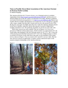 1  Notes on Possible Mycorrhizal Associations of the American Chestnut in Western North Carolina by Michael Hopping The American chestnut tree, Castanea dentata, was a dominant species in southern