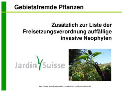 Gebietsfremde Pflanzen Zusätzlich zur Liste der Freisetzungsverordnung auffällige invasive Neophyten  Inge Forster, Koordinationsstelle Umweltschutz und Arbeitssicherheit