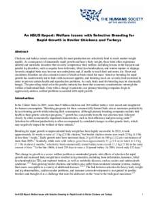 Microsoft Word - HSUS--Welfare Issues with Selective Breeding for Rapid Growth in Broiler Chickens and Turkeys.doc