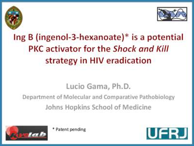 Lucio Gama, Ph.D. Department of Molecular and Comparative Pathobiology Johns Hopkins School of Medicine * Patent pending