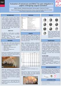 Evaluation of meloxicam and EMLA® for pain mitigation in piglets undergoing surgical castration Abbie Viscardi1, Michelle Hunniford2, Penny Lawlis3, Patricia V. Turner1 1Dept  of Pathobiology and 2Dept of Animal and Pou
