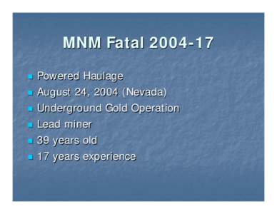 Fatality Overview for Metal/Nonmetal  Fatal Accident #17 – 2004