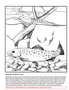 Bonneville Cutthroat Trout Bonneville cutthroat trout is one of three native cutthroats in Utah (the others being the Colorado River and the Yellowstone). It is Utah’s state fish, but is considered a sensitive species,