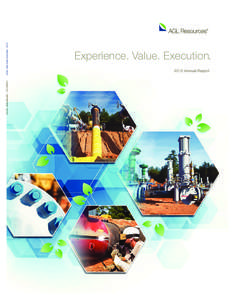 AGL RESOURCES INC.  Experience. Value. Execution.