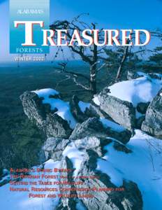 ALABAMA’S  TREASURED FORESTS  WINTER 2002