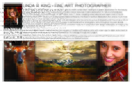 LINDA R. KING • FINE ART PHOTOGRAPHER  Linda R. King is a native Floridian with strong family ties to wildlife conservation, leading to a greater appreciation for the beauty of nature throughout the country and particu