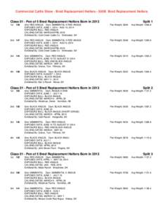 Commercial Cattle Show - Bred Replacement Heifers - 500B Bred Replacement Heifers Class 01 - Pen of 5 Bred Replacement Heifers Born in 2013 1st Split 1