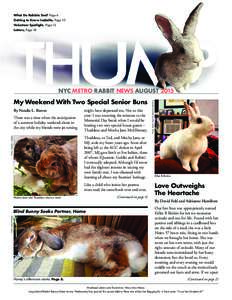 What Do Rabbits See? Page 6 Getting to Know Isabella, Page 10 Volunteer Spotlight, Page 12 Letters, Page 18  My Weekend With Two Special Senior Buns