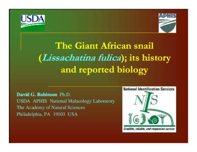 Microsoft PowerPoint - The Giant African Snail (Lissachatina fulica); its History and Reported Biology_Robinson [Compatibility